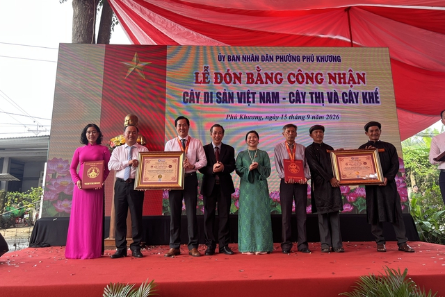C&acirc;y bạch mai 300 năm tuổi được x&aacute;c lập kỷ lục Việt Nam 'thi&ecirc;n ni&ecirc;n cổ mộc' - Ảnh 2.