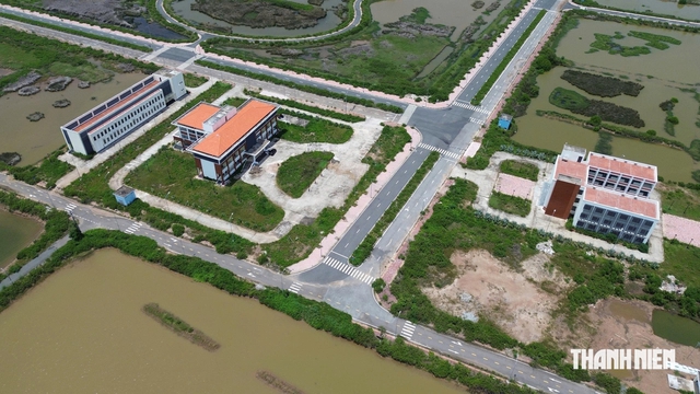 7 nhà đầu tư đề xuất dự án tại Khu phát triển tôm công nghệ cao- Ảnh 1.
