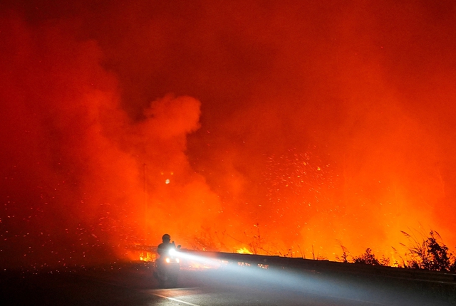 Cháy rừng dữ dội, Indonesia tính coi đốt rừng là ‘khủng bố sinh thái’ - Ảnh 1.