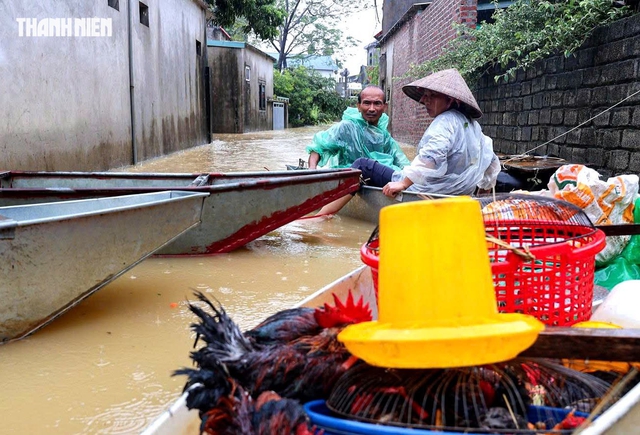 Hơn 10.600 người Hà Nội bị ảnh hưởng do mưa lũ- Ảnh 1.