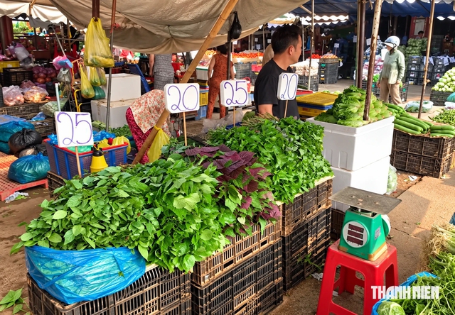 Rau củ tăng giá, trái cây dội chợ- Ảnh 1.