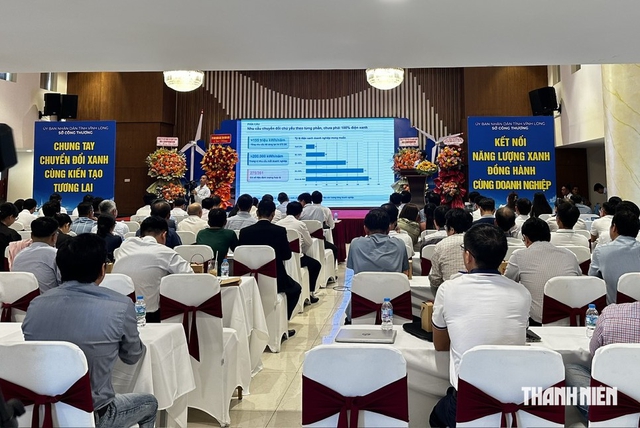 Vĩnh Long phát triển năng lượng tái tạo gắn với thị trường tiêu thụ điện xanh- Ảnh 2.