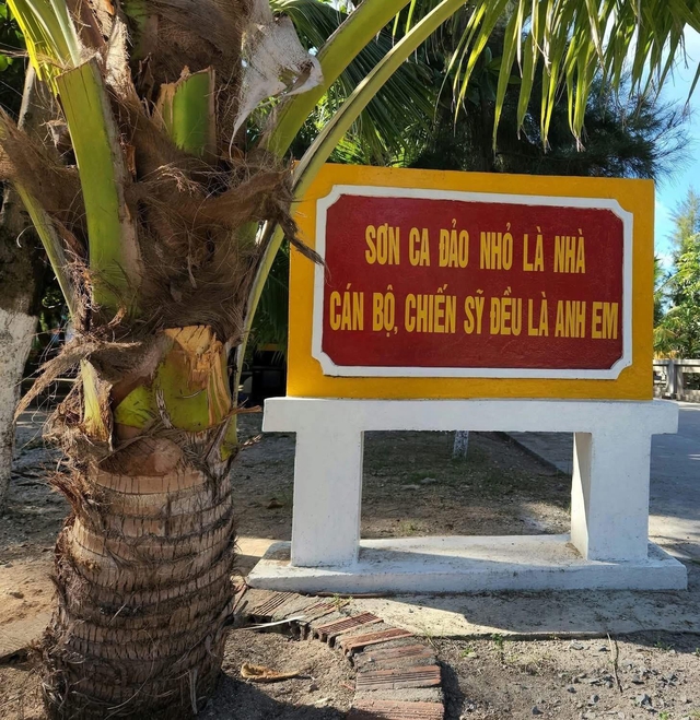 Đất liền mang triệu cây xanh gửi lại Trường Sa  - Ảnh 1.