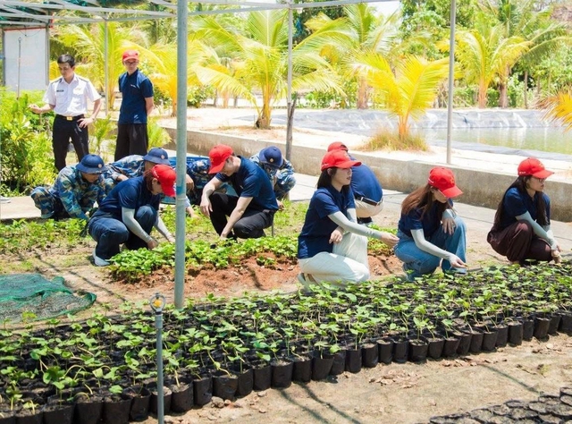 Đất liền mang triệu cây xanh gửi lại Trường Sa  - Ảnh 8.