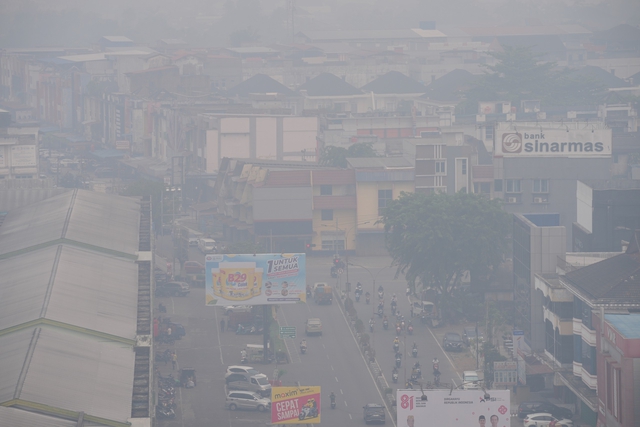 Cháy rừng dữ dội, Indonesia tính coi đốt rừng là ‘khủng bố sinh thái’ - Ảnh 2.