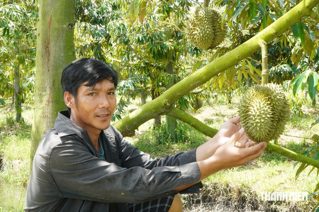 Nông sản ĐBSCL muốn sang Trung Quốc phải qua 4 ‘bộ lọc’- Ảnh 2.