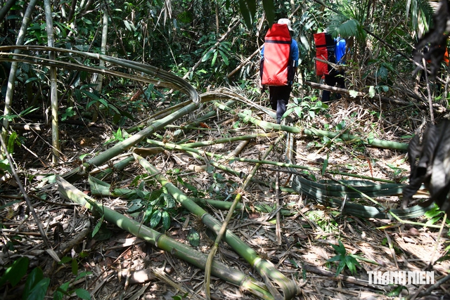 'Săn' th&uacute; rừng ở Nam C&aacute;t Ti&ecirc;n- Ảnh 5.