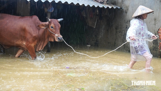 Khổ như d&acirc;n ngoại đ&ecirc; m&ugrave;a lũ lụt- Ảnh 5.