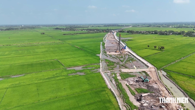 Thi công cao tốc Cà Mau-Đất Mũi làm giảm năng suất lúa, người dân được hỗ trợ- Ảnh 1.