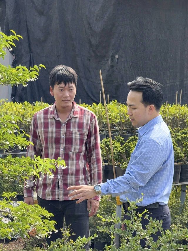 Cấp 'giấy khai sinh' cho cây cảnh - Ảnh 6.