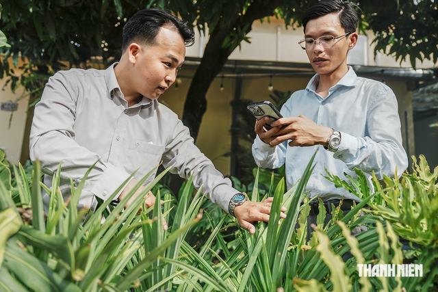 Cấp 'giấy khai sinh' cho cây cảnh - Ảnh 1.