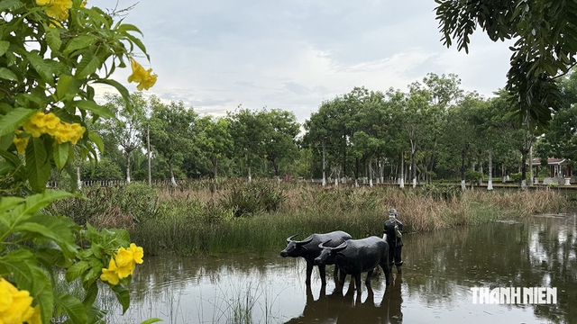Nọc Nạng, k&yacute; ức giữ đất của lưu d&acirc;n Nam bộ - Ảnh 5.