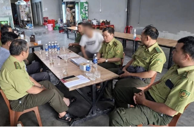 Bẫy chim trời, quảng cáo bán có thể bị phạt 400 triệu đồng, tù 15 năm- Ảnh 1.