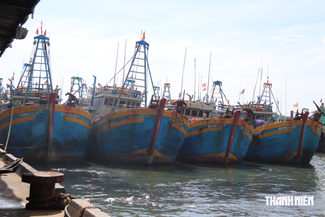 Bộ Quốc phòng yêu cầu xử lý gấp vi phạm IUU tại Lâm Đồng, TP.HCM, Cà Mau - Ảnh 2.