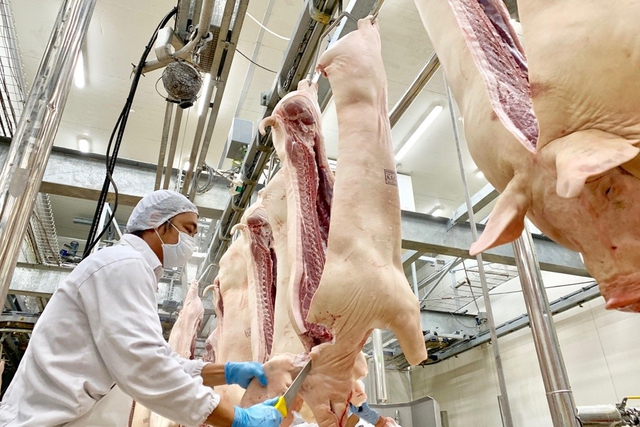 Quản lý giết mổ tại Hà Nội: Bài học từ sự đồng bộ và tầm nhìn quy hoạch- Ảnh 1.