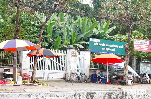 TP.HCM đề xuất quy trình 40 ngày thu hồi nhà, đất của cơ quan Trung ương- Ảnh 1.