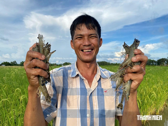 'Mỏ vàng' vỏ tôm đang bị lãng phí- Ảnh 4.