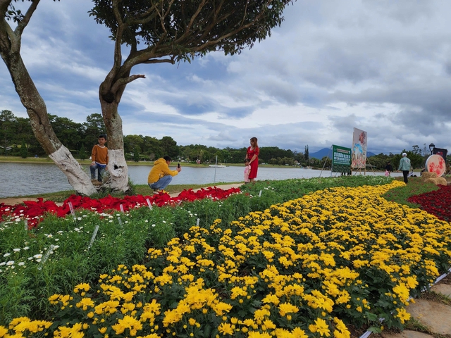 Festival Hoa 2026: Phường Xuân Hương - Đà Lạt vận động nhà nhà trồng hoa- Ảnh 3.