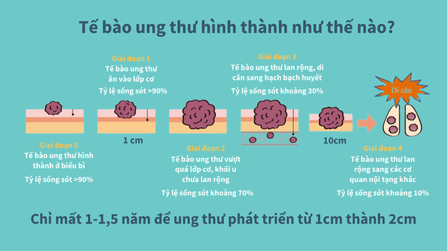 Hai năm không đi tái khám, người phụ nữ phát hiện tổn thương tiền ung thư - Ảnh 2.