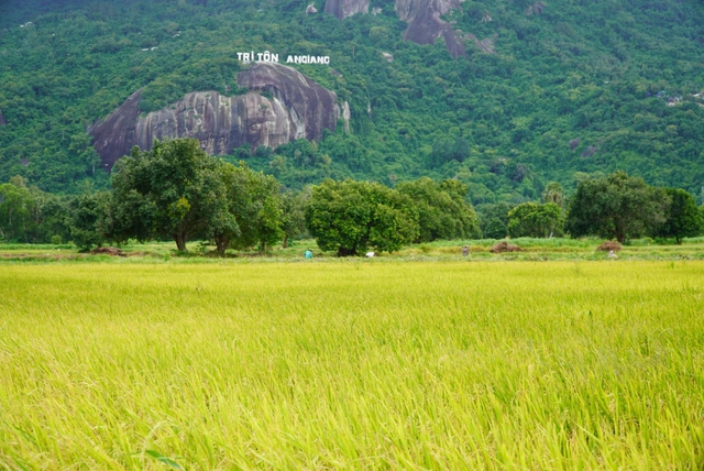 Vì sao một điểm ở An Giang trở thành điểm check-in của nhiều người trẻ? - Ảnh 1.