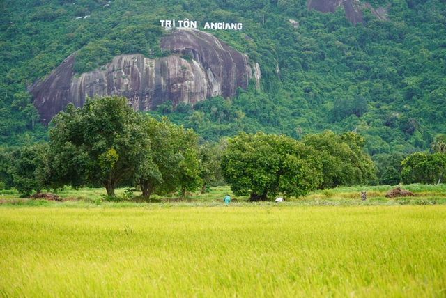Vì sao một điểm ở An Giang trở thành điểm check-in của nhiều người trẻ? - Ảnh 5.