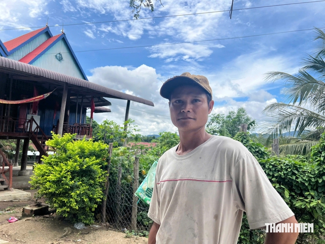C&oacute; bất thường trong việc đăng k&yacute; trồng rừng ở Gia Lai?- Ảnh 2.