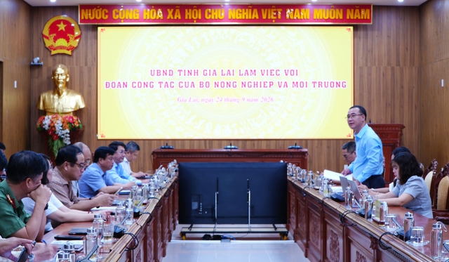 Bộ N&ocirc;ng nghiệp v&agrave; M&ocirc;i trường x&aacute;c minh khiếu nại của 3 c&ocirc;ng d&acirc;n tại Gia Lai- Ảnh 1.