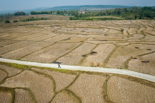 Si&ecirc;u El Nino v&agrave; ph&eacute;p thử ứng ph&oacute; to&agrave;n cầu- Ảnh 1.