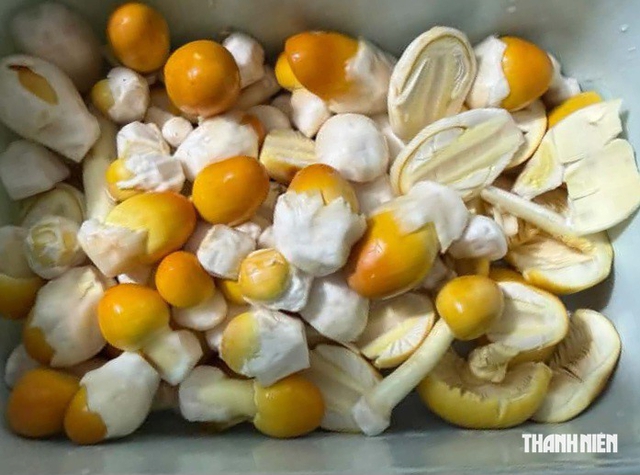 Nấm trứng gà là loại nấm gì, có ăn được không?- Ảnh 3.