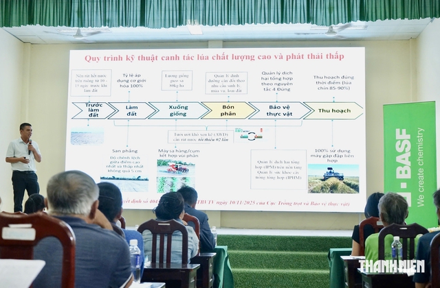 N&ocirc;ng d&acirc;n Đồng Th&aacute;p thử c&aacute;ch l&agrave;m l&uacute;a &iacute;t nước, kh&ocirc;ng đốt rơm- Ảnh 1.