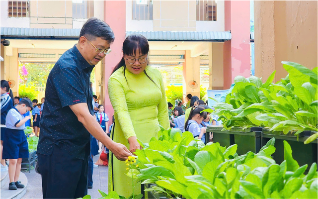 Giảng viên Nhật Bản thích thú thăm vườn rau học sinh TP.HCM chăm sóc - Ảnh 5.