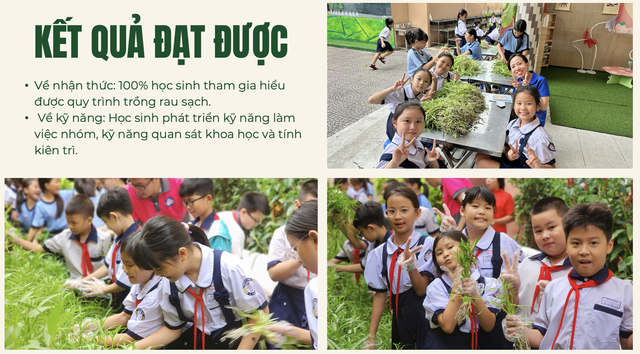 Giảng viên Nhật Bản thích thú thăm vườn rau học sinh TP.HCM chăm sóc - Ảnh 9.