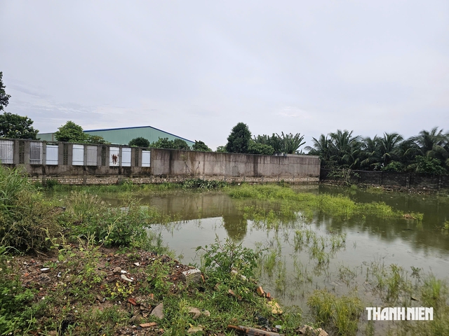San lấp bằng chất thải rắn, chủ cửa hàng vật liệu bị phạt 3,6 năm tù- Ảnh 1.