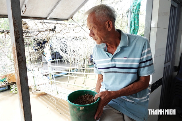 Người dựng chòi giữ đàn cá thiên nhiên ở Cần Thơ: 'Chỉ mong mọi người thương tôi'- Ảnh 5.