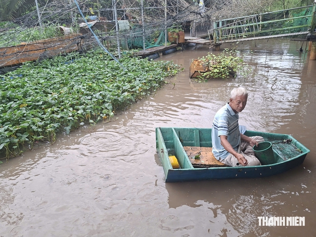 Người dựng chòi giữ đàn cá thiên nhiên ở Cần Thơ: 'Chỉ mong mọi người thương tôi'- Ảnh 4.