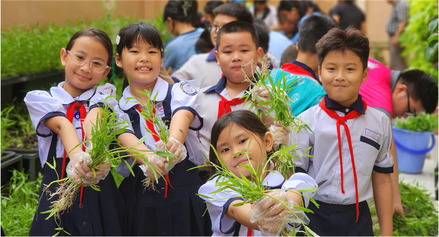 Giảng viên Nhật Bản thích thú thăm vườn rau học sinh TP.HCM chăm sóc - Ảnh 3.