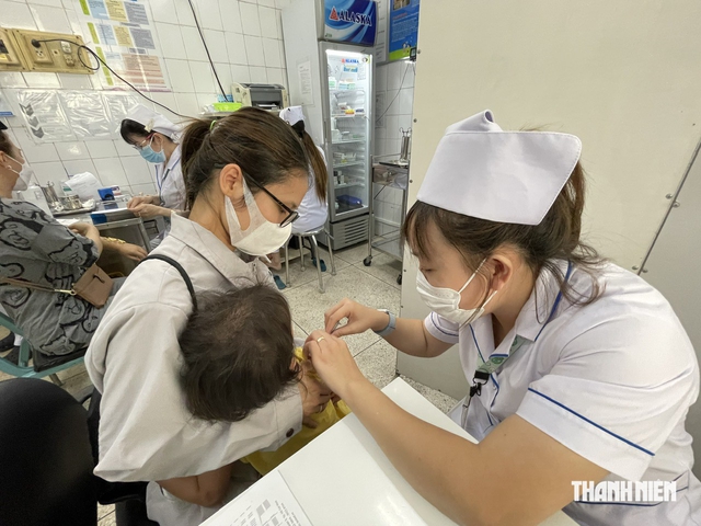 Hơn 101.000 người bị ch&oacute;, m&egrave;o cắn, 6 người tử vong v&igrave; bệnh dại tại TP.HCM - Ảnh 1.