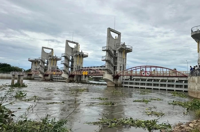 Nông dân An Giang vất vả thu hoạch lúa, hoa màu chạy lũ- Ảnh 5.