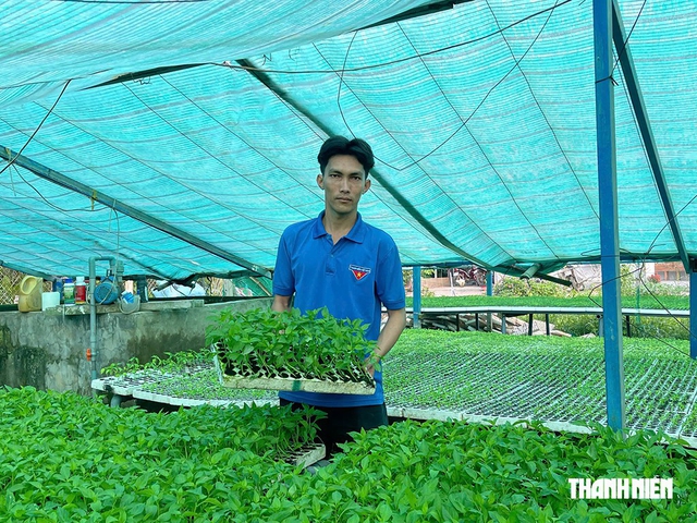 Thu nhập 300 triệu đồng/năm từ vườn ươm ớt chỉ thiên và ớt sừng vàng châu Phi - Ảnh 2.
