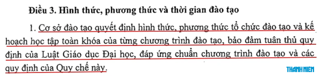 Bộ GD-ĐT: Không cấm học viên thạc sĩ chính quy làm việc toàn thời gian- Ảnh 1.