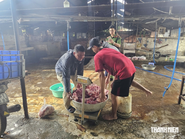 Lò mổ heo lậu bị công an bắt nhiều lần vẫn tung hoành ở phường Phú Mỹ - Ảnh 3.