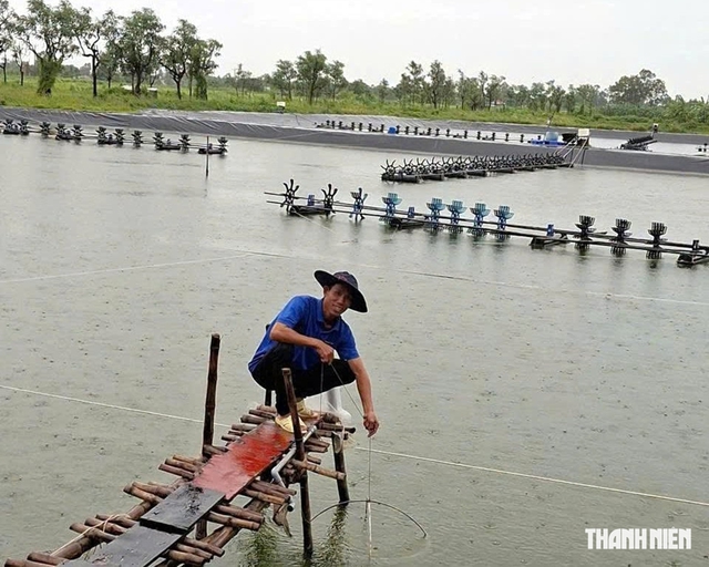 Kết hợp 4 vật nu&ocirc;i tr&ecirc;n 1 ha đất, thu l&atilde;i gần 400 triệu đồng/năm - Ảnh 1.
