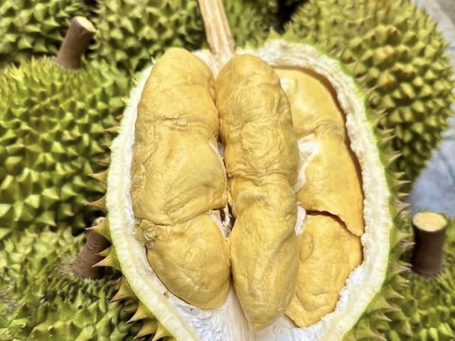 Xuất khẩu sầu riêng mang về 2,7 tỉ USD sau 8 tháng- Ảnh 2.