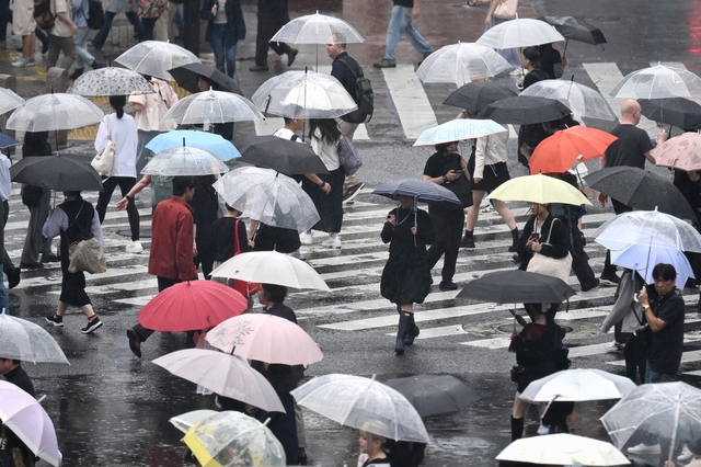 Tokyo 'mệt mỏi vì mưa' sau 35 ngày không dứt - Ảnh 1.