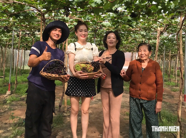 Vườn nho 3.000 m² giữa xứ dừa, trồng 7 giống nho và đón khách hái tại vườn- Ảnh 2.