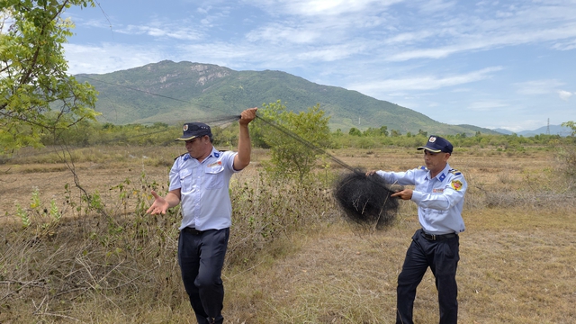Hơn 38 km lưới giăng bắt chim yến trái phép ở Khánh Hòa - Ảnh 1.