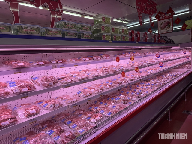 Giá heo hơi hôm nay 4.9.2026: Tăng nhẹ ở miền Bắc- Ảnh 1.