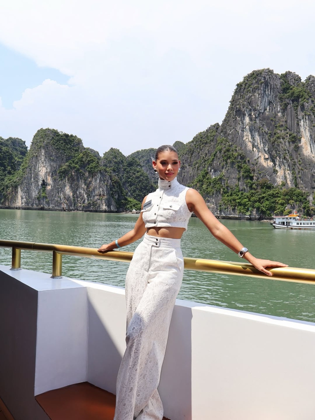 Tân Hoa hậu Thế giới và chuỗi ngày tranh vương miện ở Việt Nam- Ảnh 7.