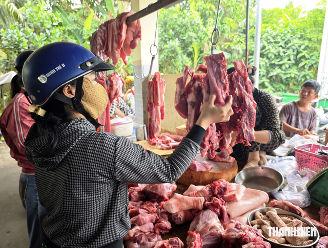 Giá heo hơi hôm nay 17.9.2026: Đứt mạch tăng- Ảnh 1.