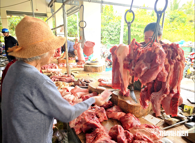 Giá heo hơi hôm nay 5.9.2026: Thị trường lặng sóng- Ảnh 1.